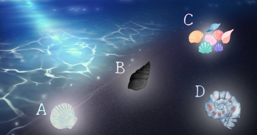 那是什么样的贝壳呢？ - 心理测试题图片