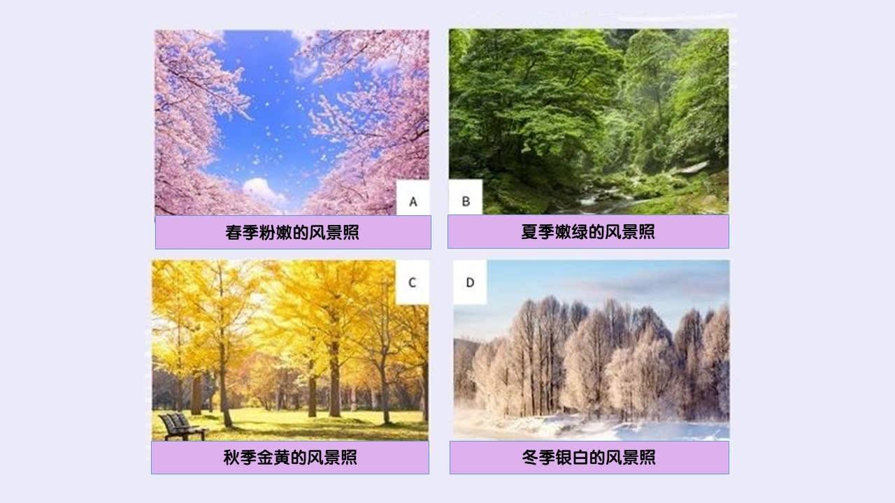 Which Season Landscape Would You Choose? - 心理测试推荐